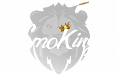 lion logo